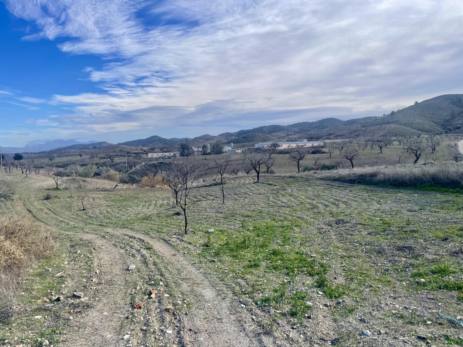 For sale of house in Lorca