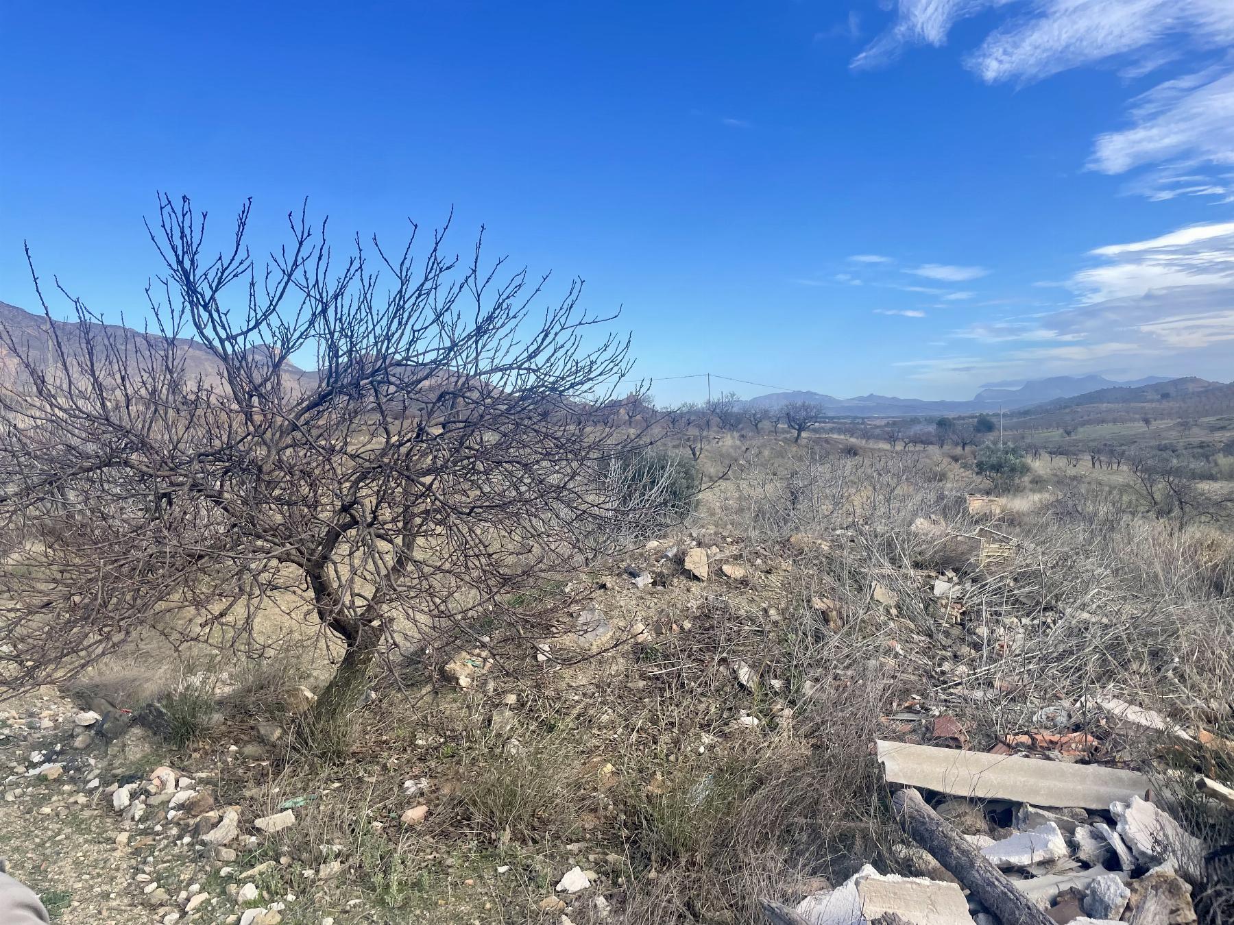 For sale of house in Lorca