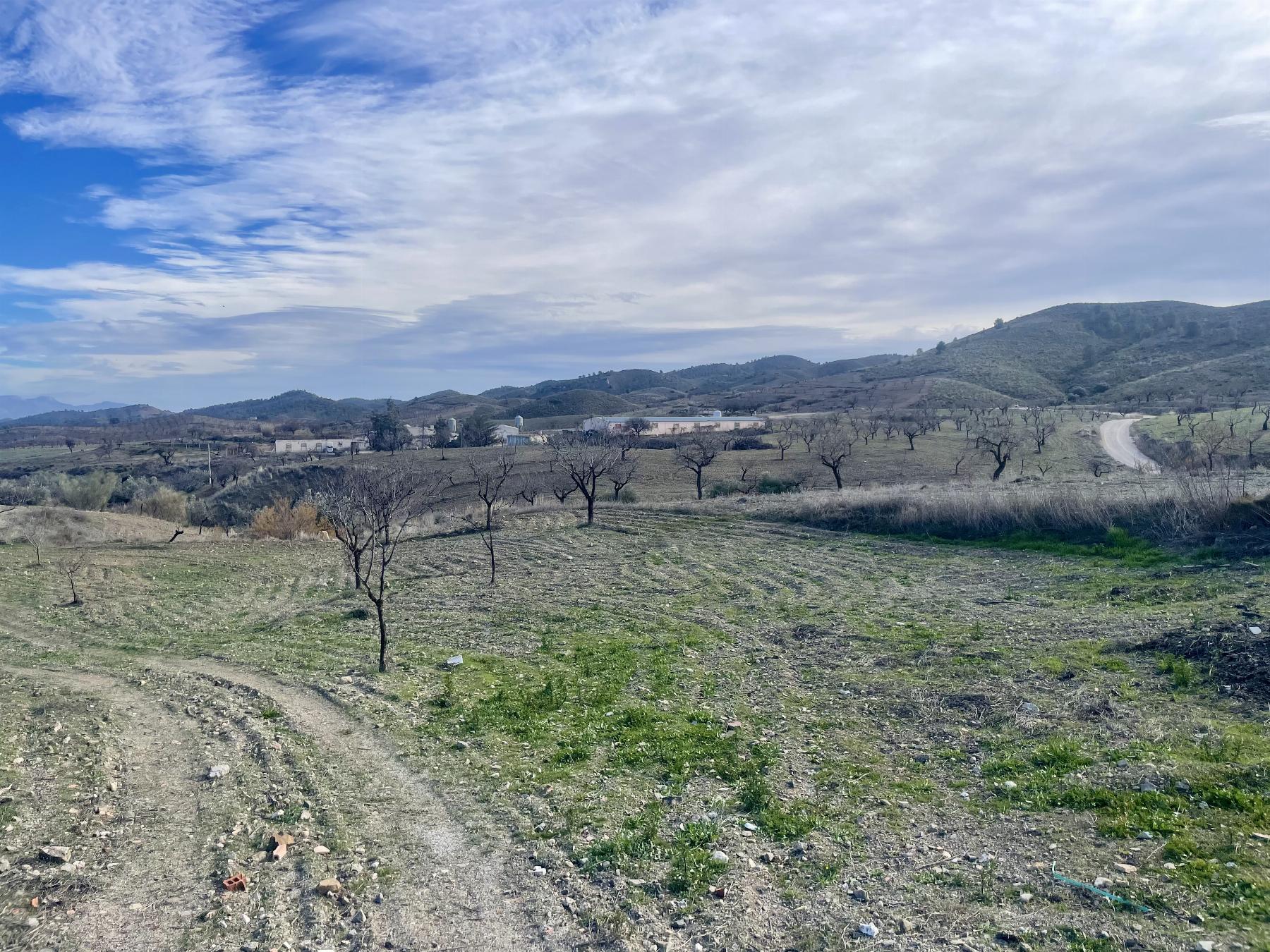 For sale of house in Lorca