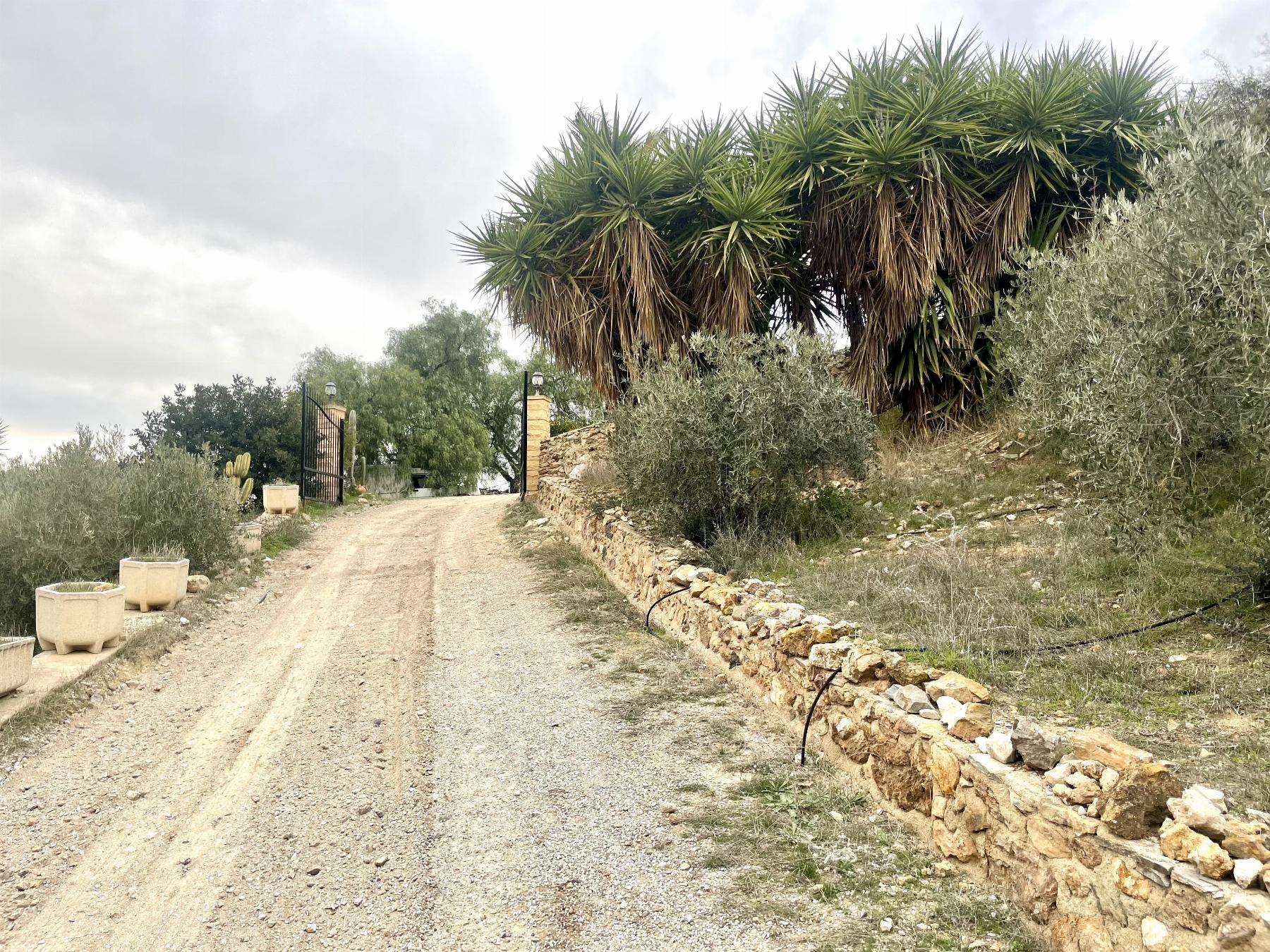 For sale of house in Lorca