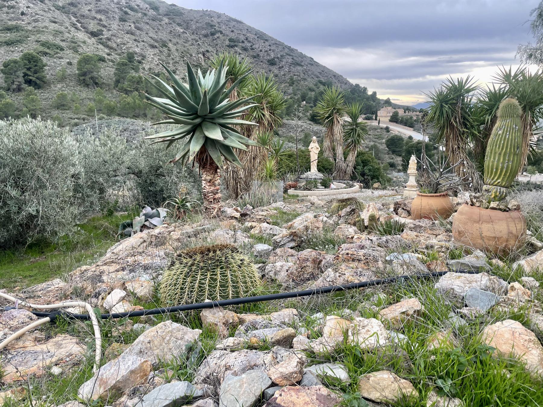 For sale of house in Lorca