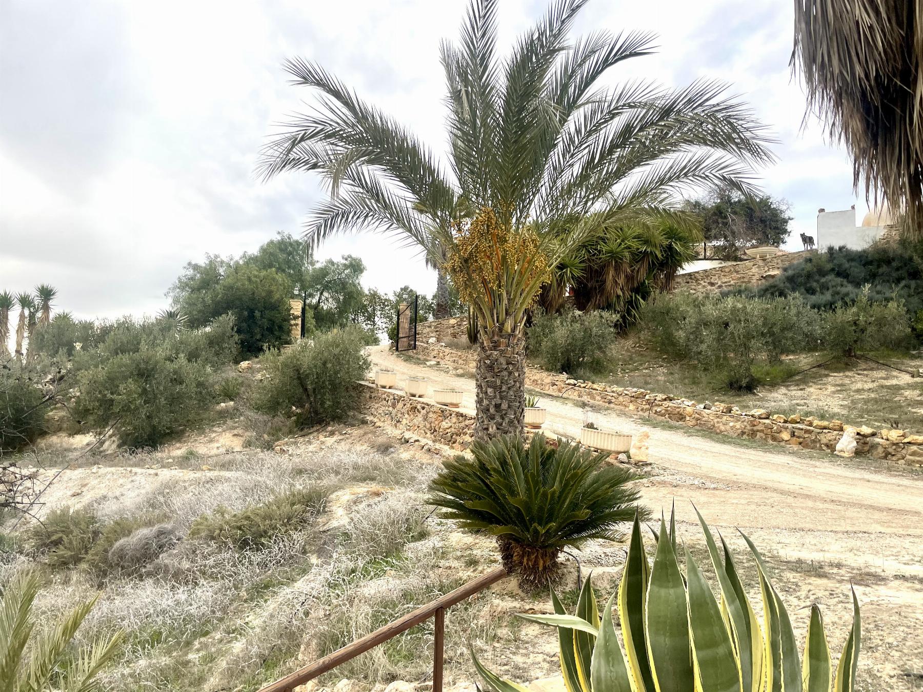 For sale of house in Lorca