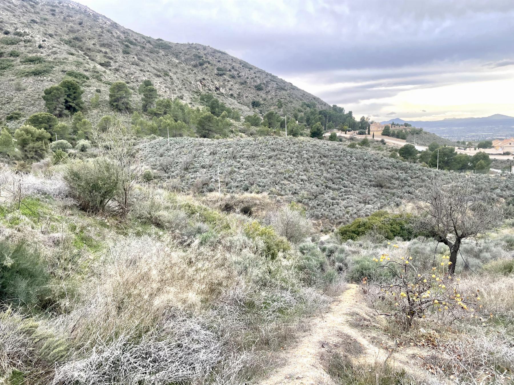 For sale of house in Lorca