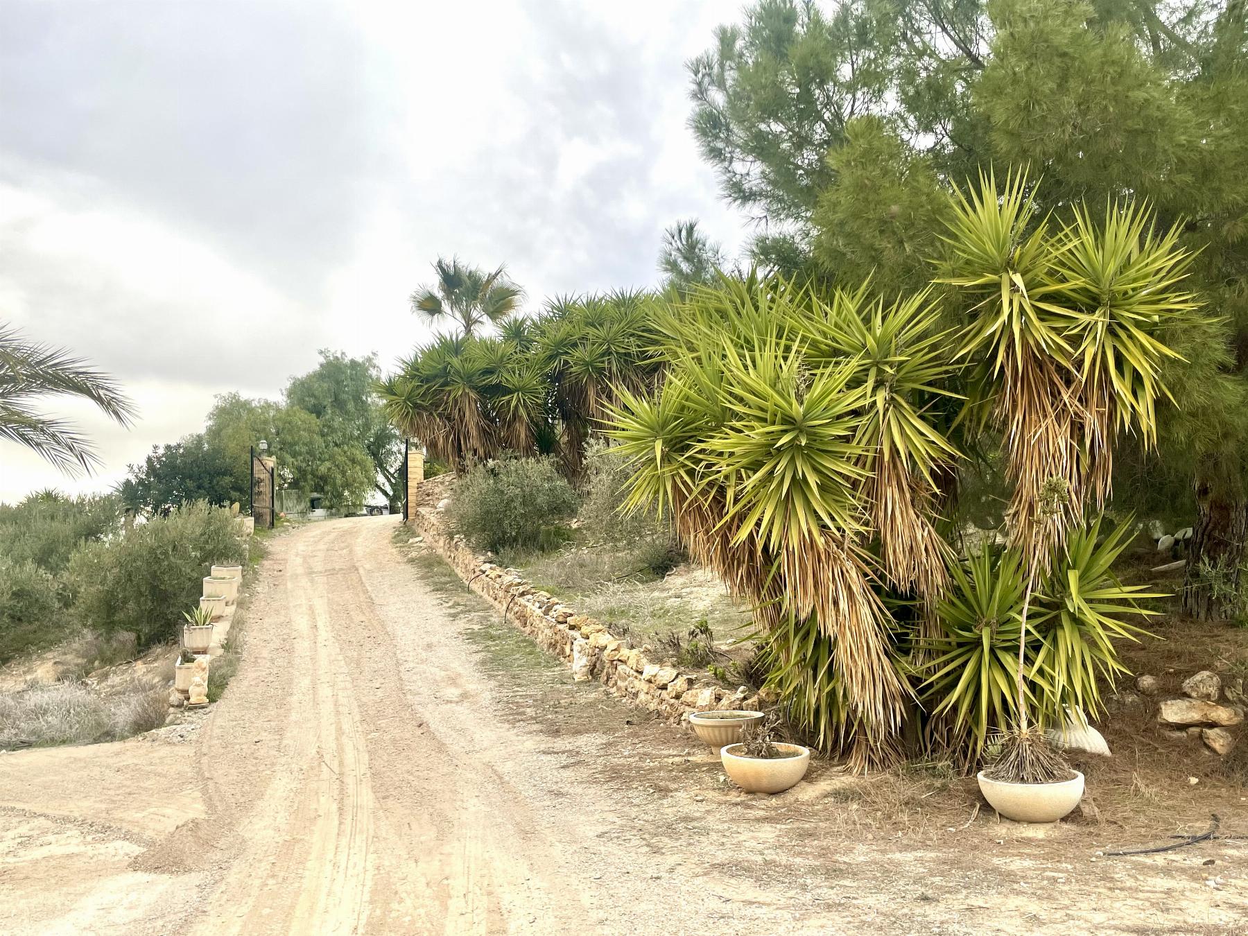 For sale of house in Lorca