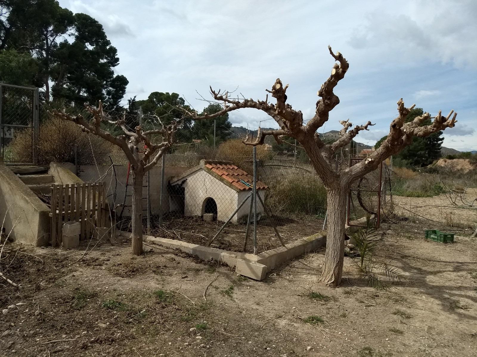 Venta de chalet en Lorca