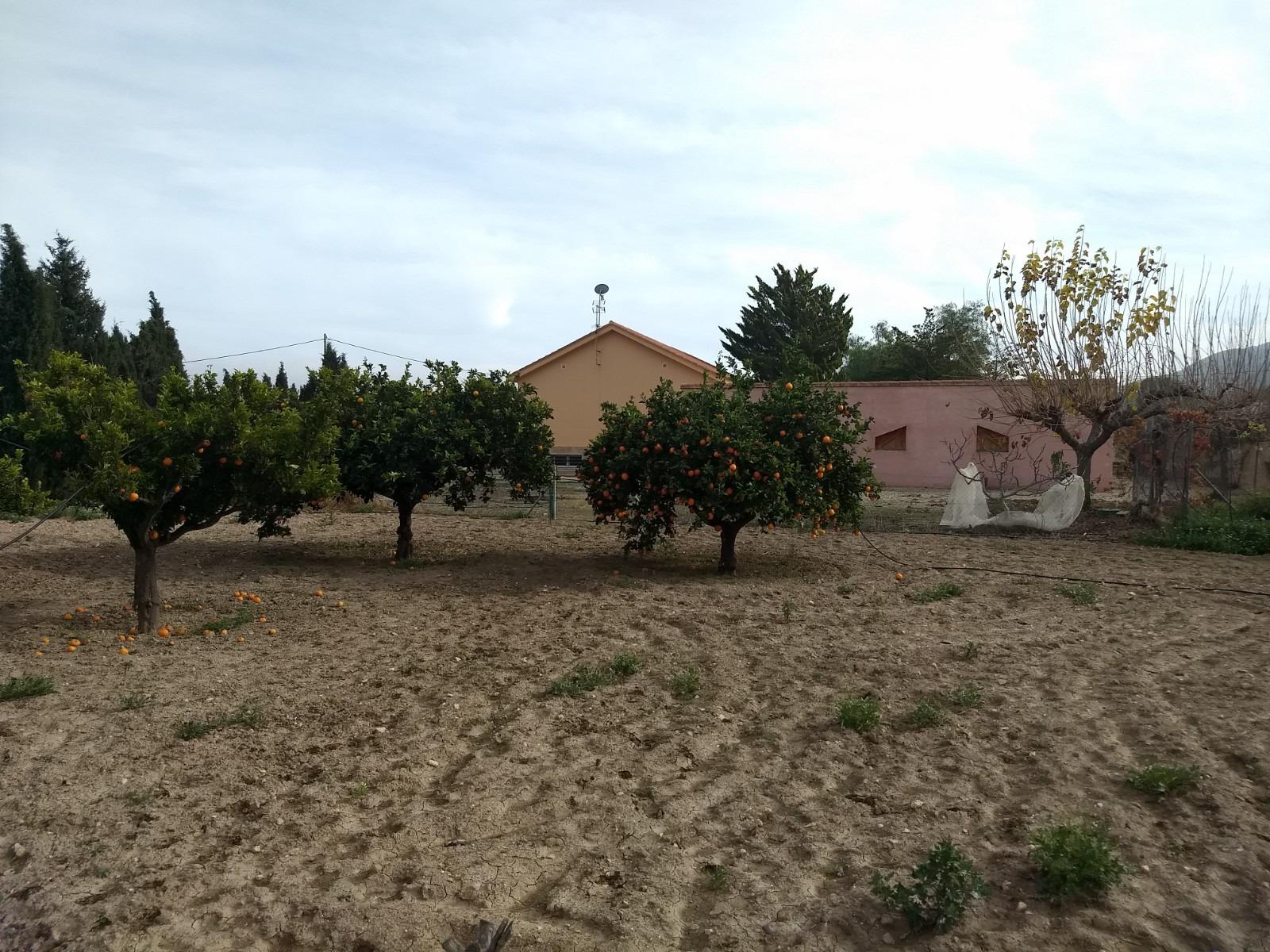 Venta de chalet en Lorca