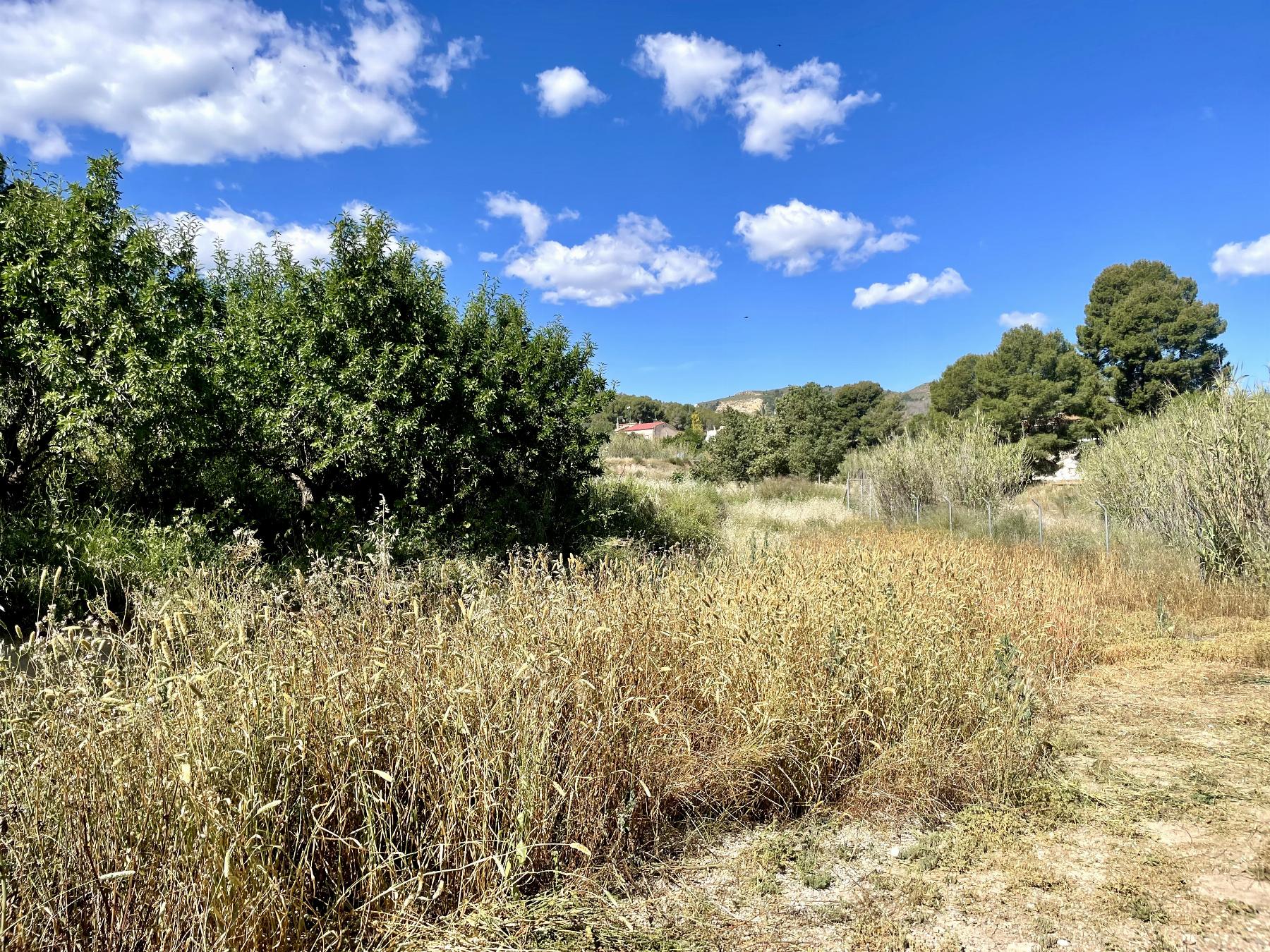 Venta de chalet en Lorca