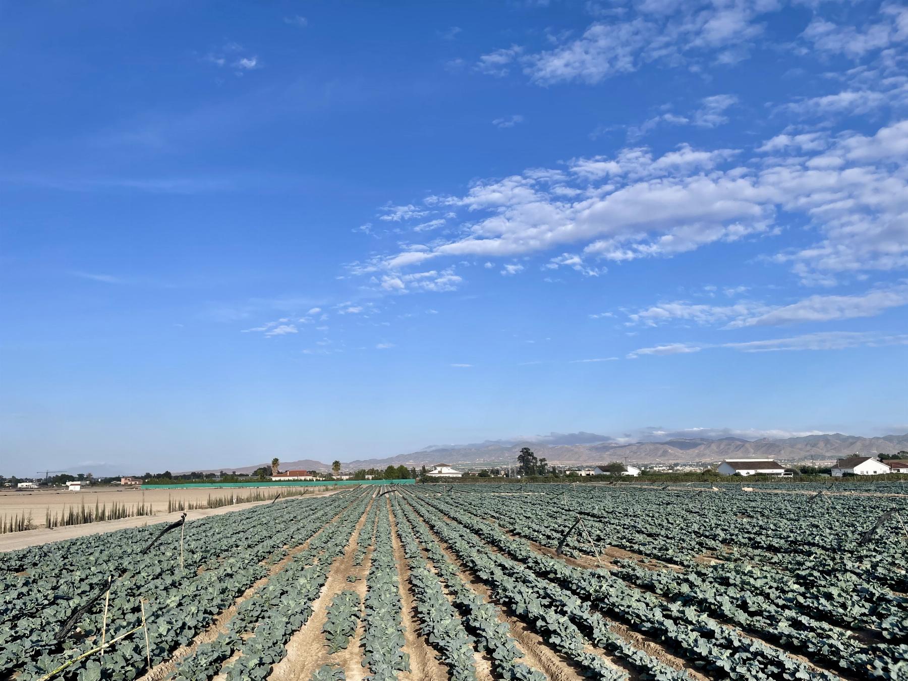Venta de casa en Puerto Lumbreras