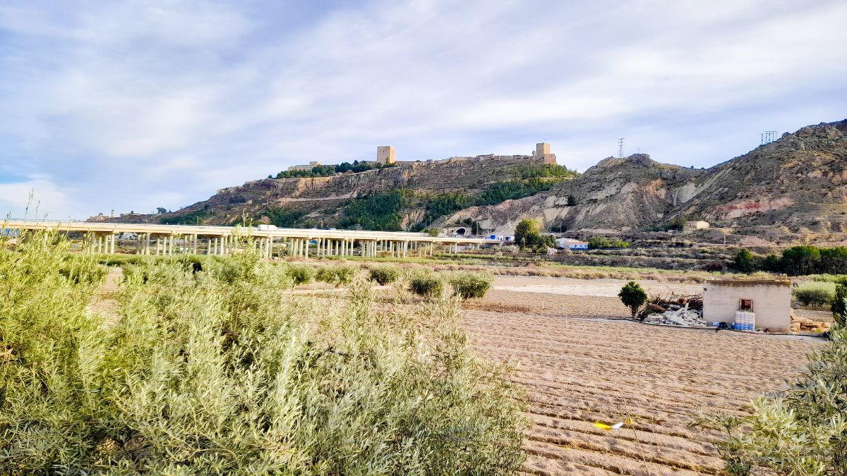 For sale of land in Lorca