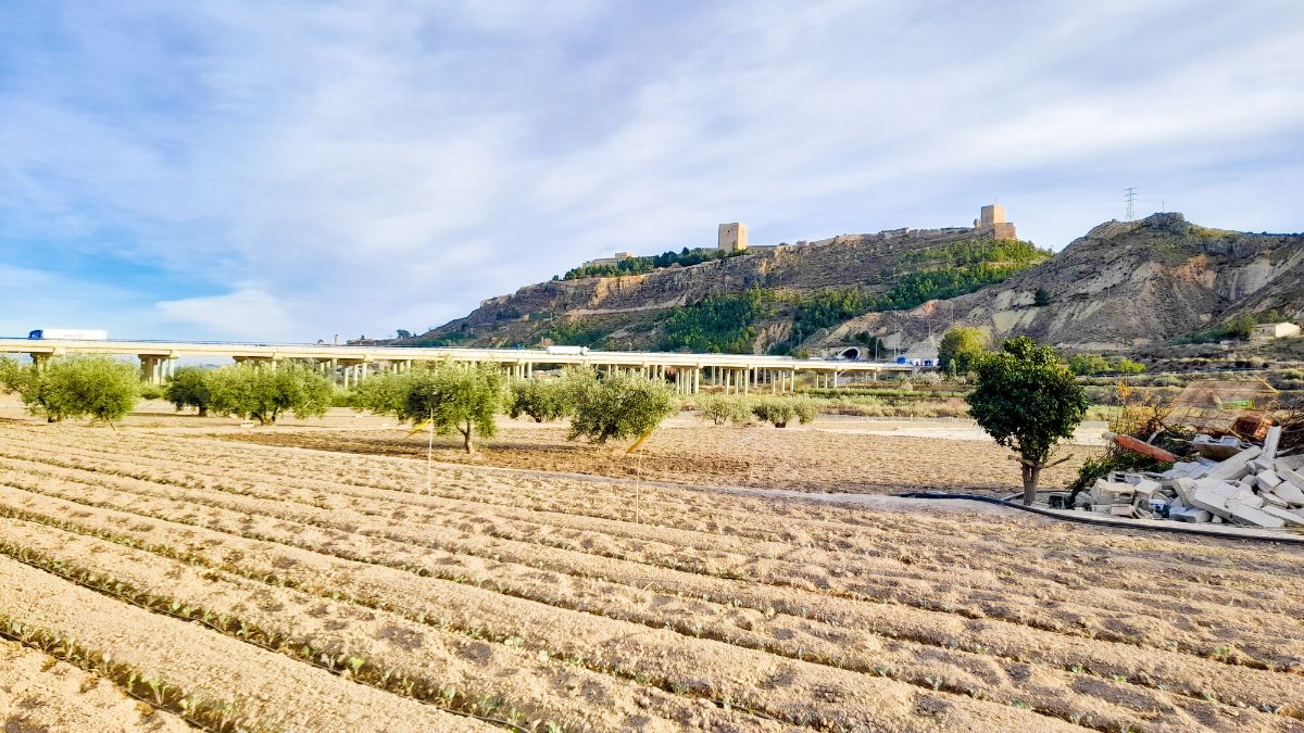 For sale of land in Lorca