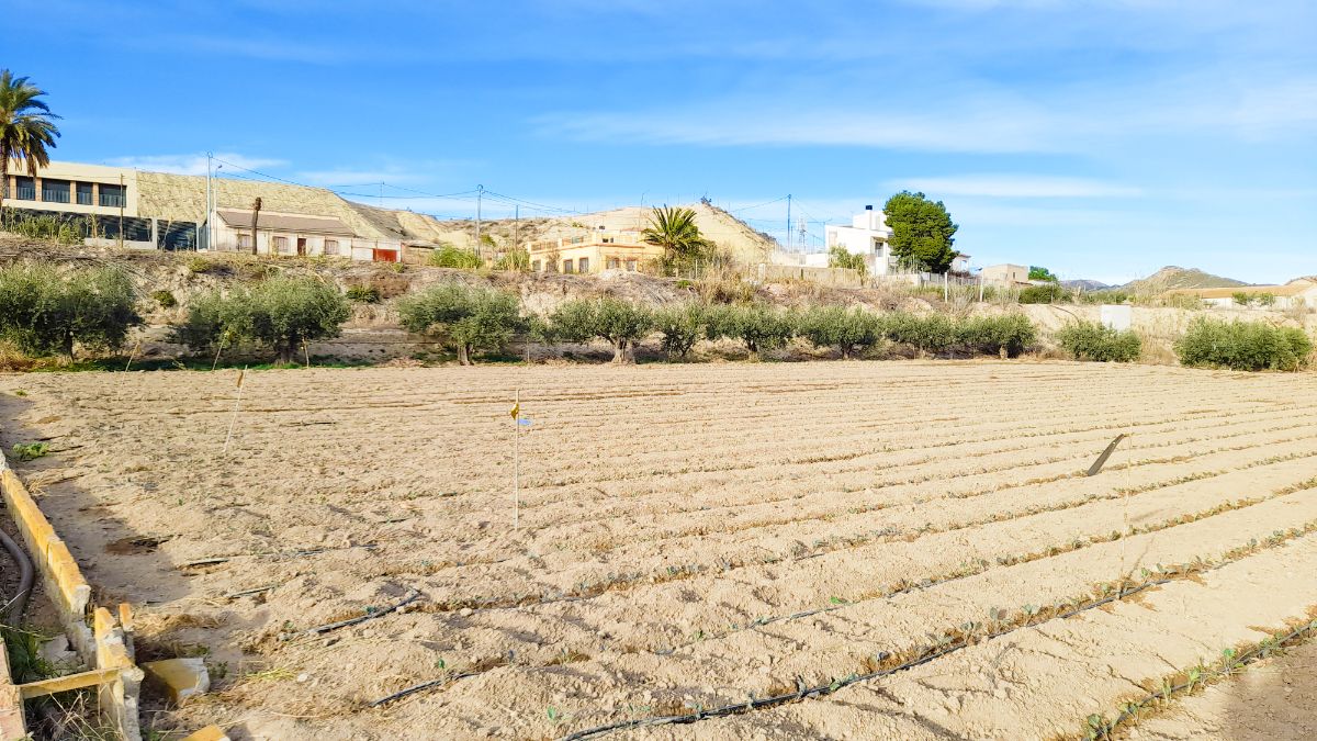 For sale of land in Lorca
