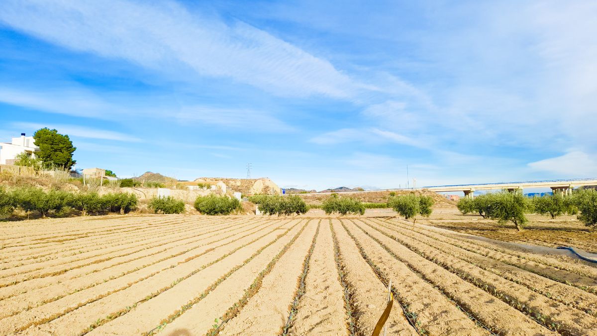 For sale of land in Lorca