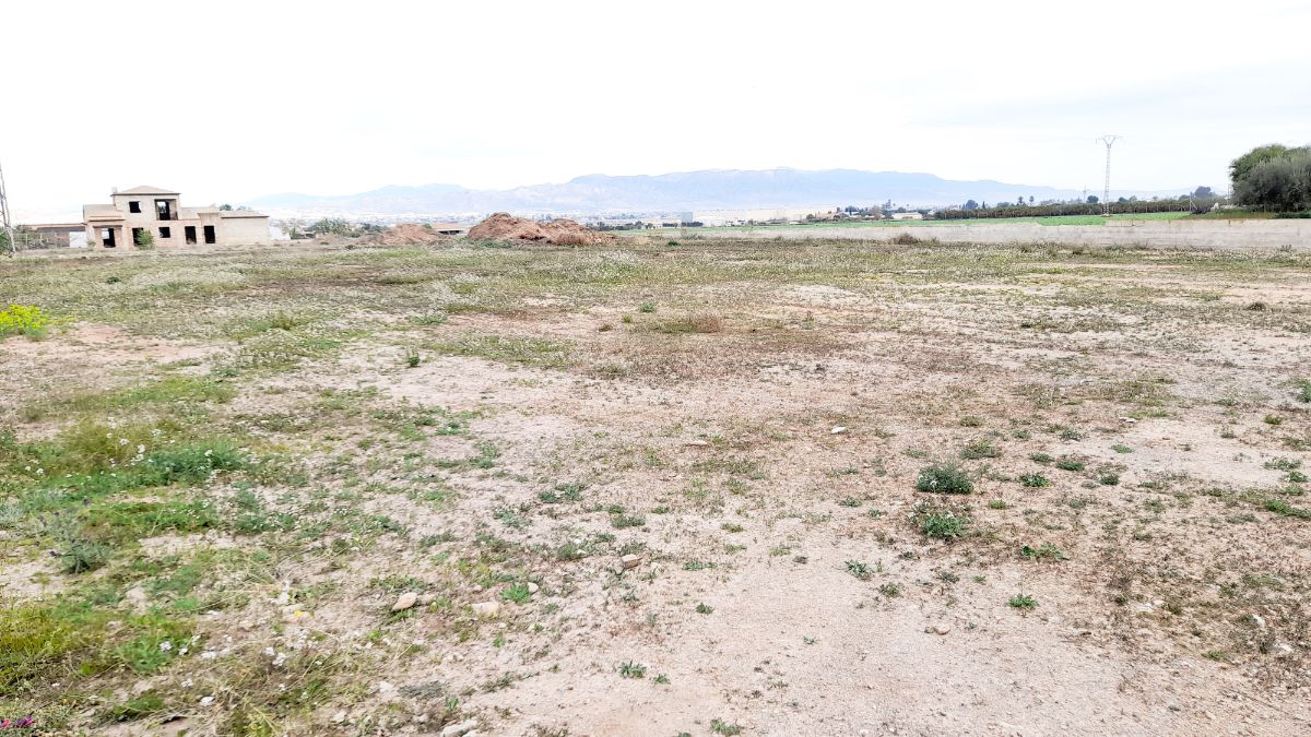 For sale of land in Lorca