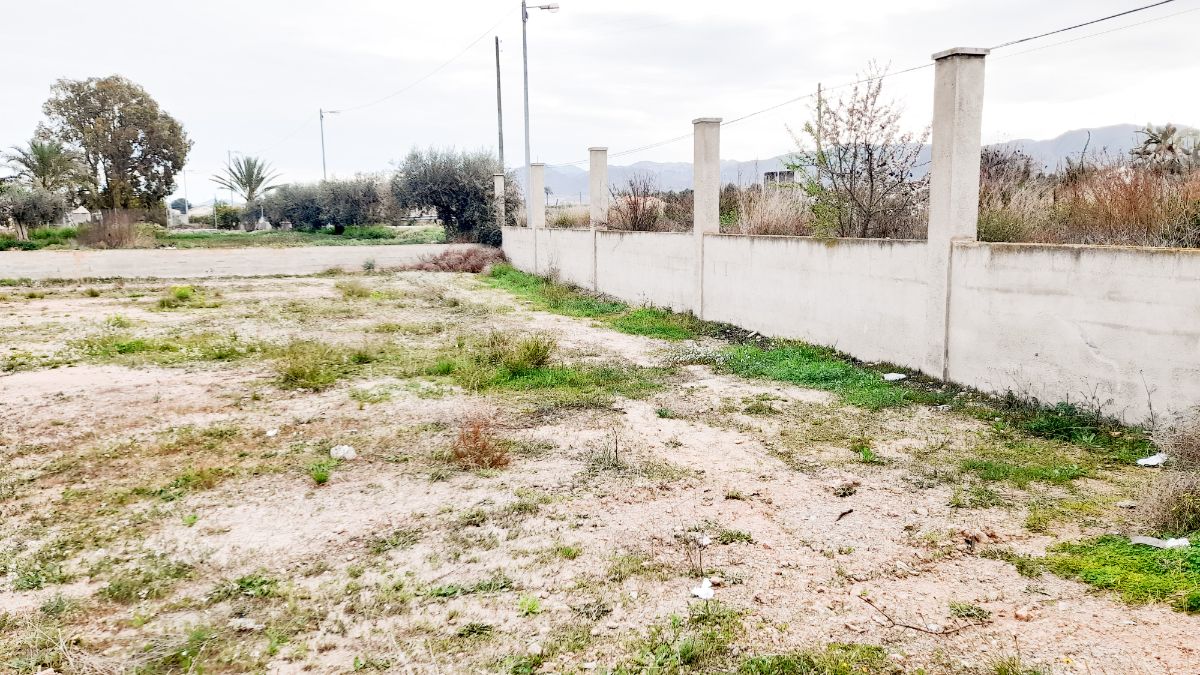 For sale of land in Lorca