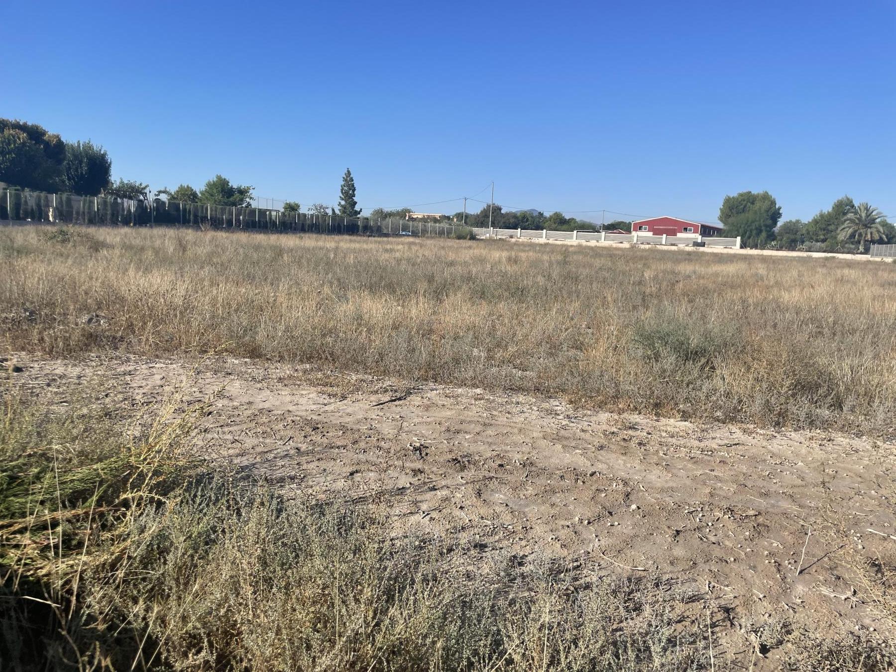 For sale of land in Lorca