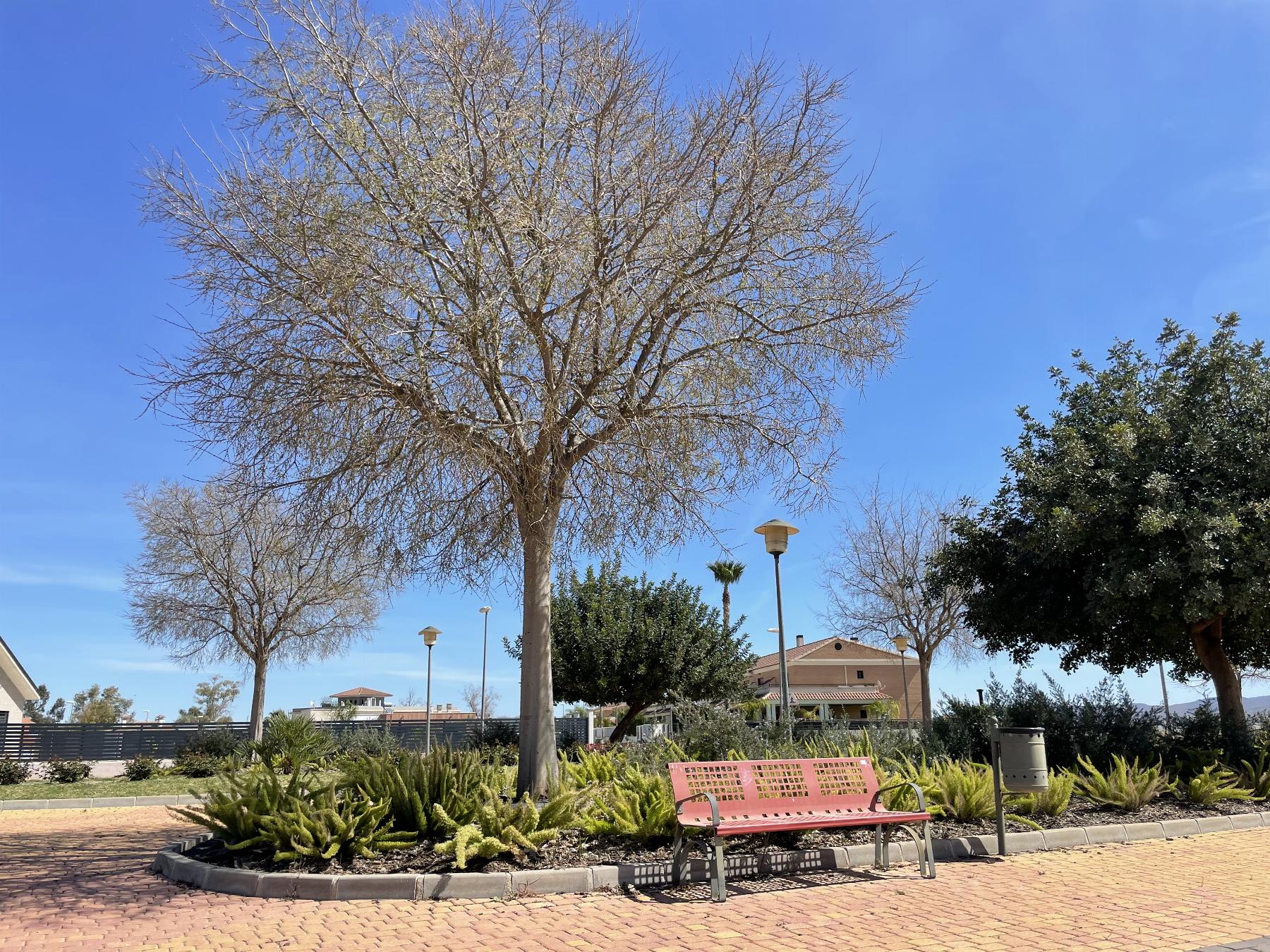 Vente de terrain dans Lorca