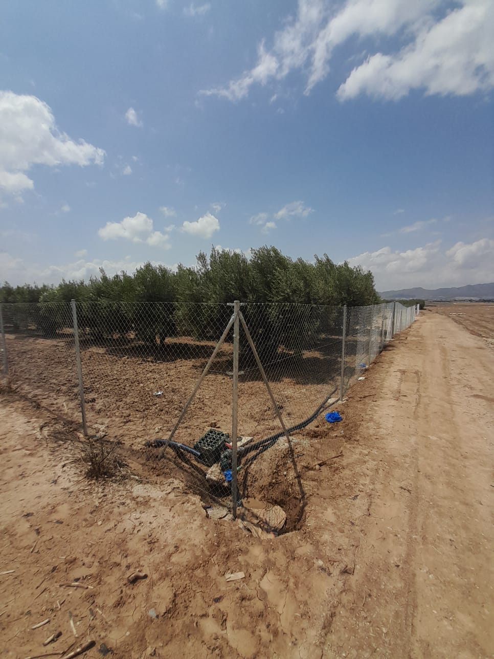 Zu verkaufen von grundstück in
 Lorca