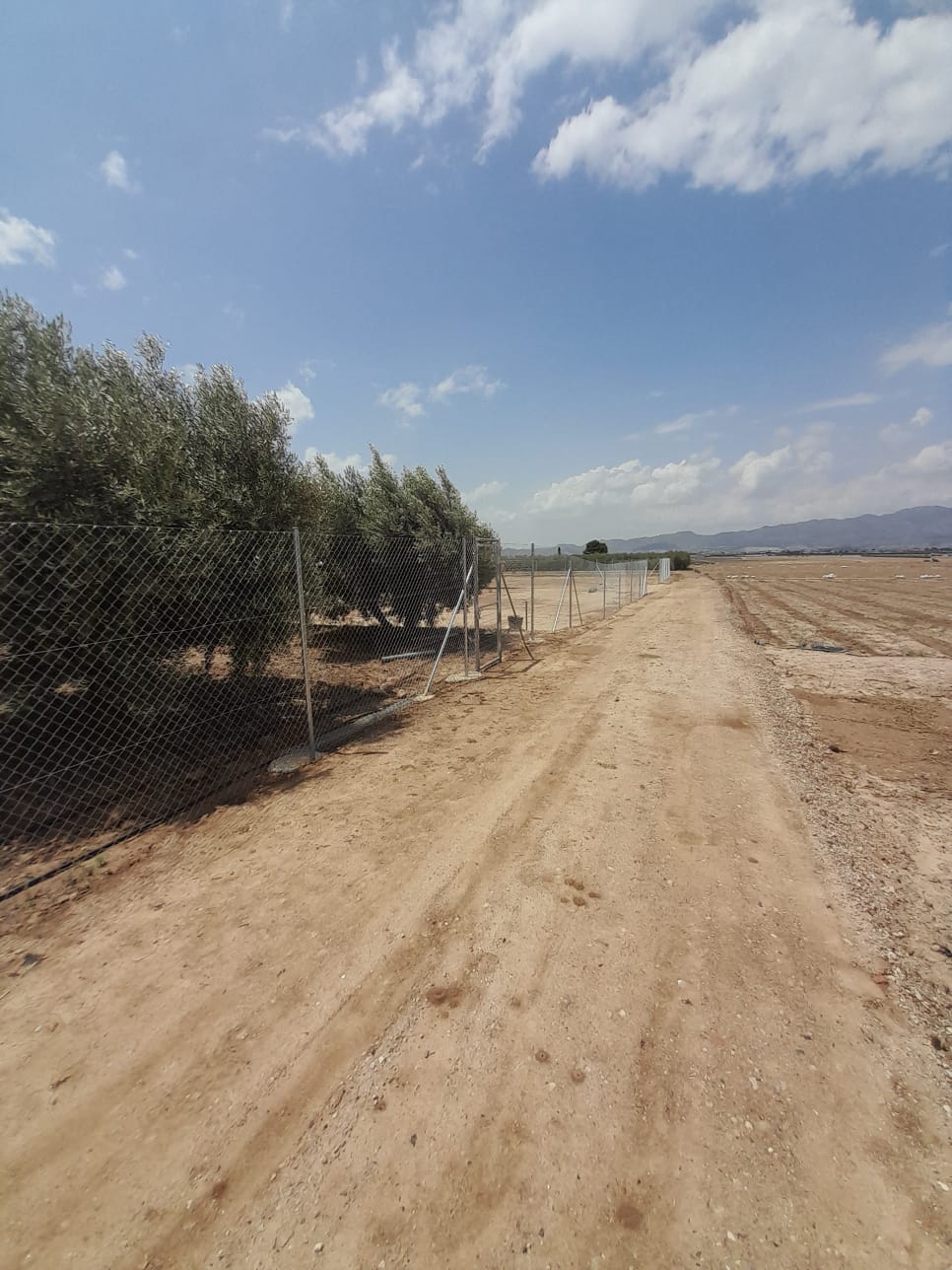 Zu verkaufen von grundstück in
 Lorca