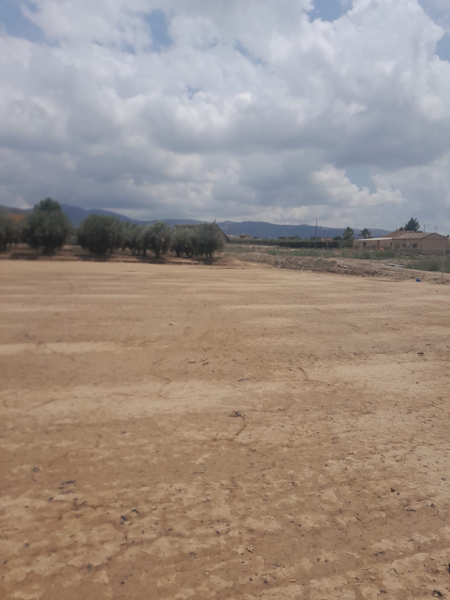 Zu verkaufen von grundstück in
 Lorca