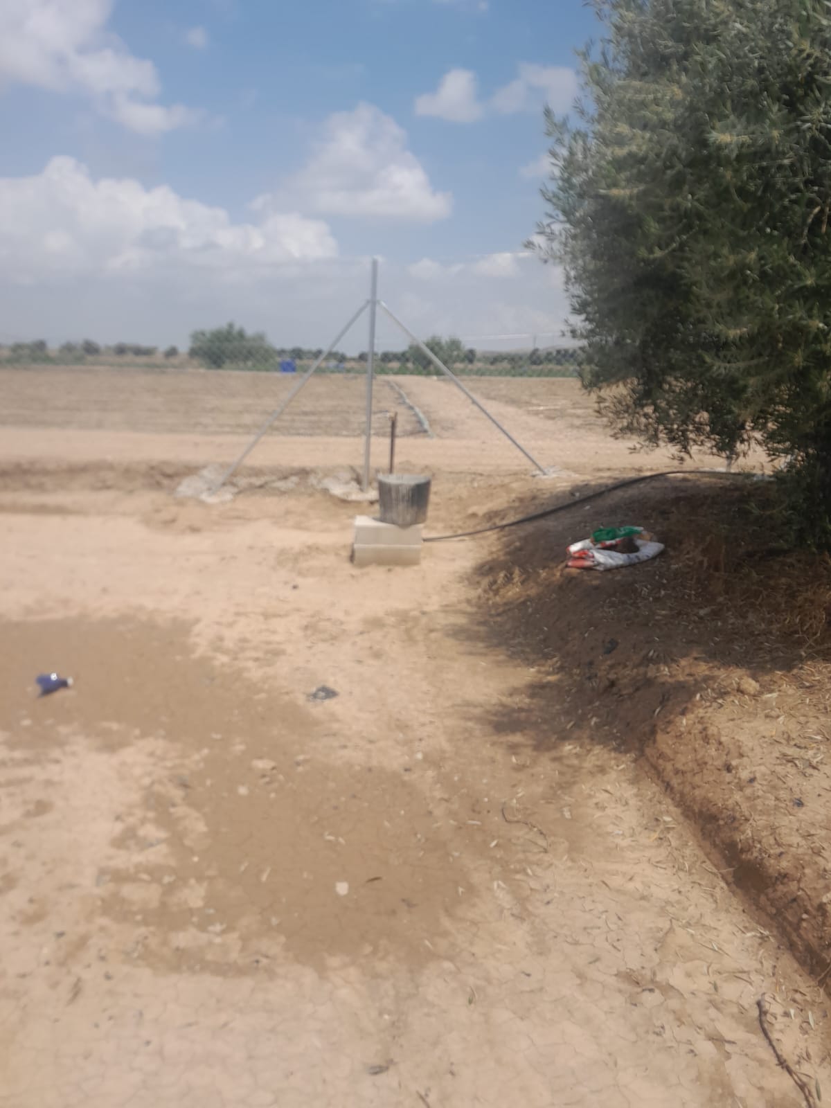 Zu verkaufen von grundstück in
 Lorca