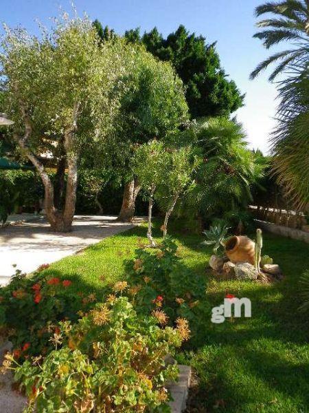 Venta de chalet en Orihuela Costa