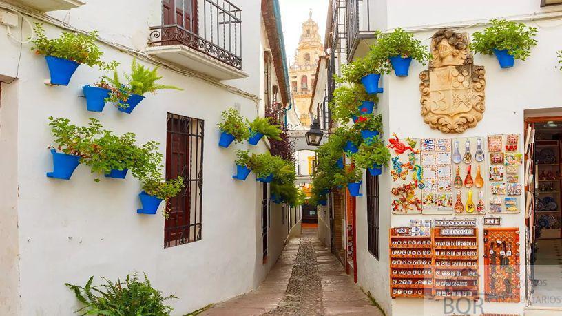 For sale of flat in JEREZ DE LA FRONTERA