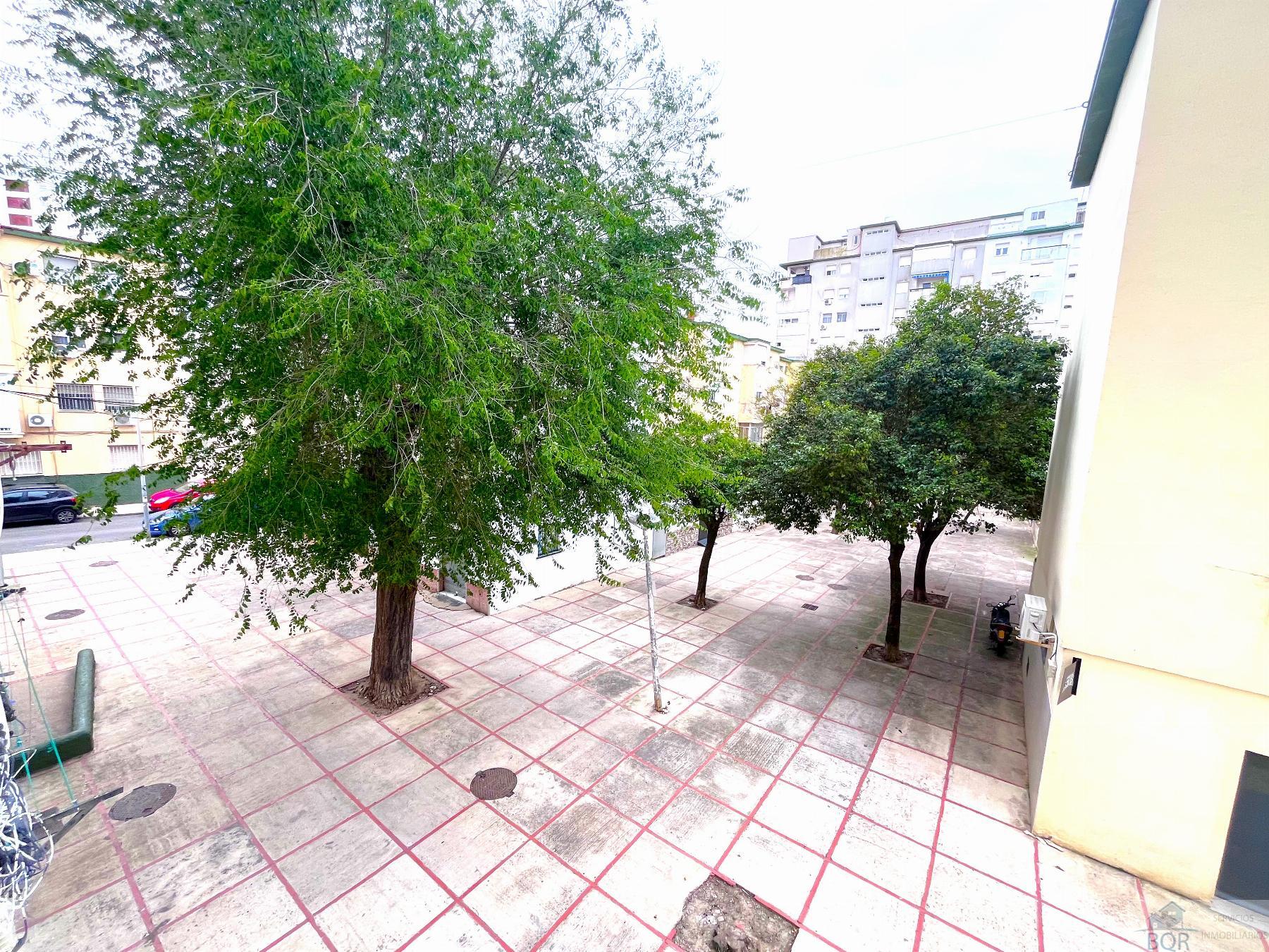 Venta de piso en Jerez de la Frontera