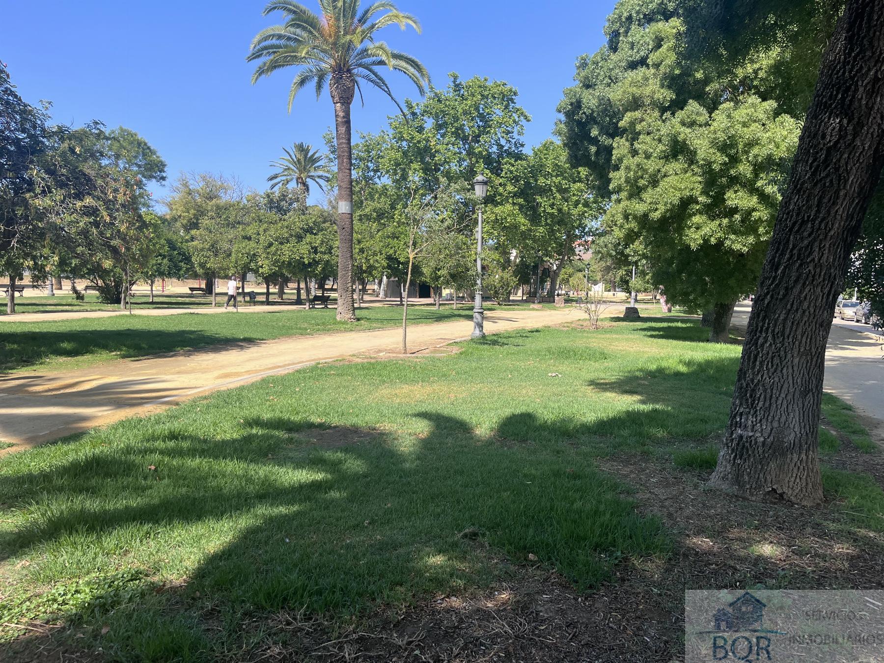 Venta de dúplex en Jerez de la Frontera