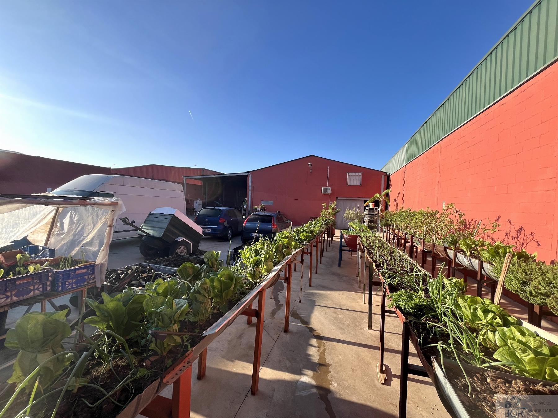 Venda de navio industrial em Jerez de la Frontera