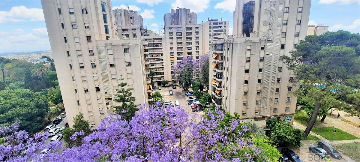 Alokairua  apartamentu  Jerez de la Frontera