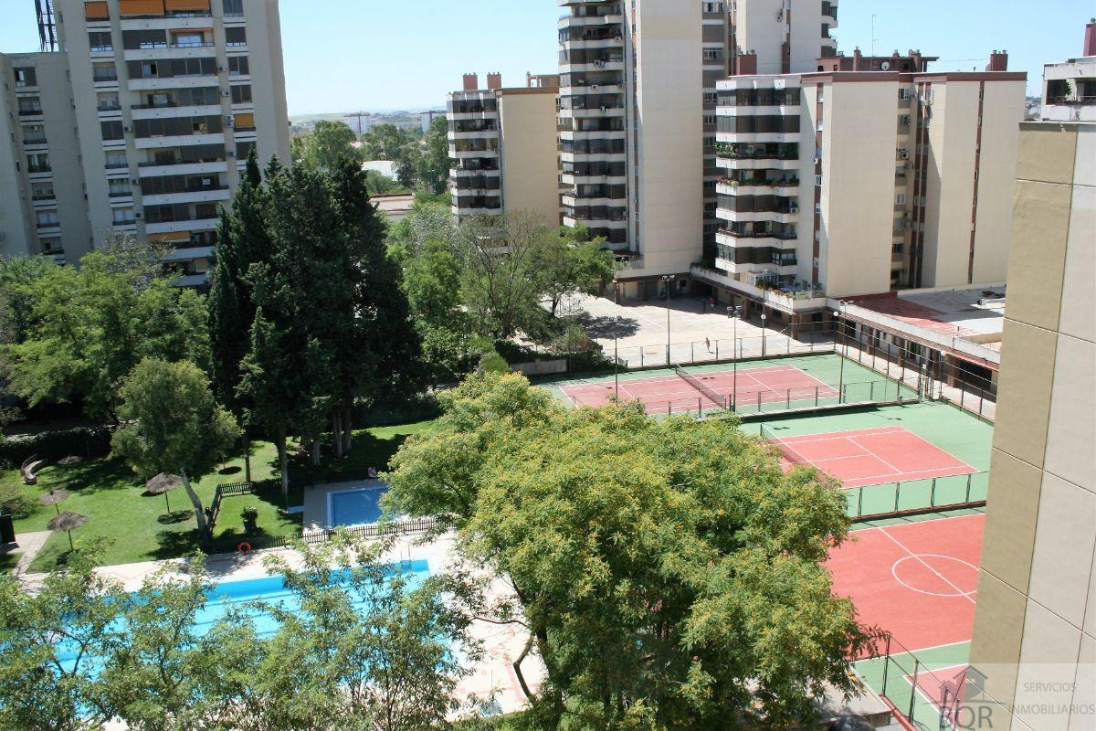 Alokairua  apartamentu  Jerez de la Frontera