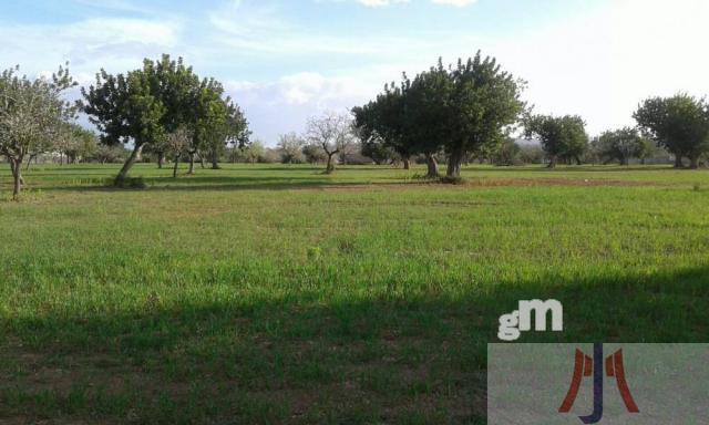 For sale of rural property in Palma de Mallorca