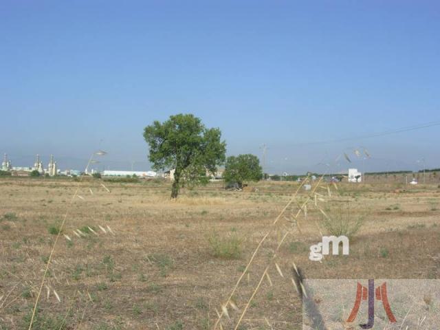 Venda de finca rústica a Palma de Mallorca