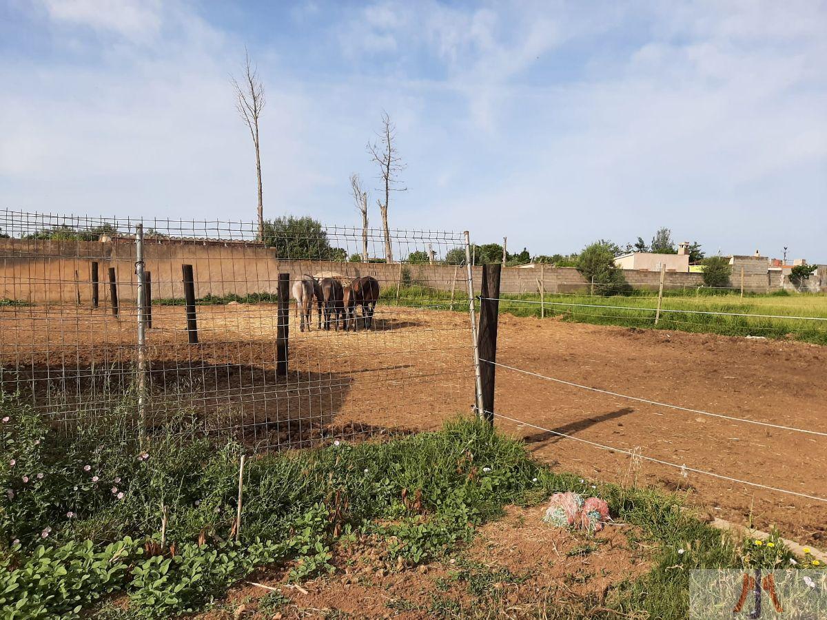 Venda de casa a Palma de Mallorca