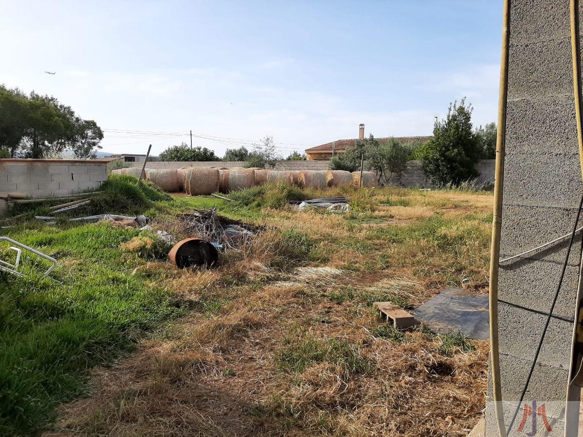 Venda de casa a Palma de Mallorca