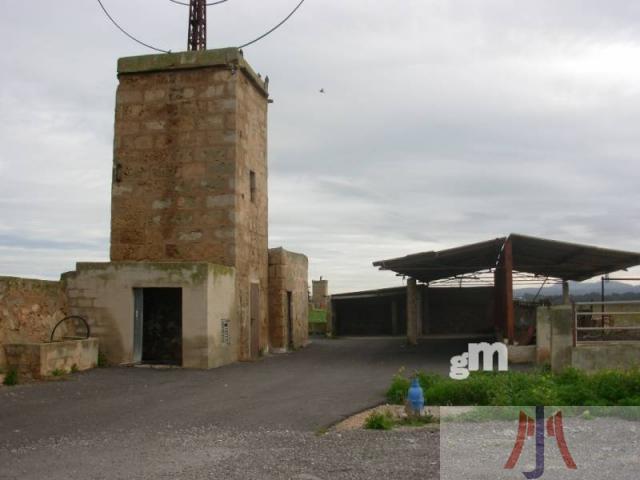 Venda de finca rústica a Palma de Mallorca