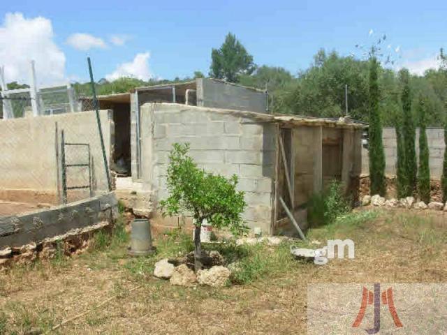 Vente de chalet dans Palma de Mallorca