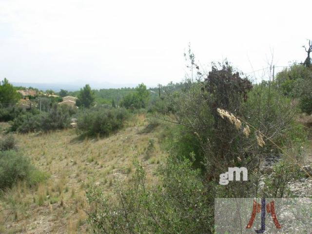 For sale of land in Esporles