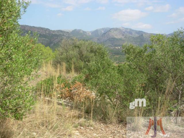 For sale of land in Esporles