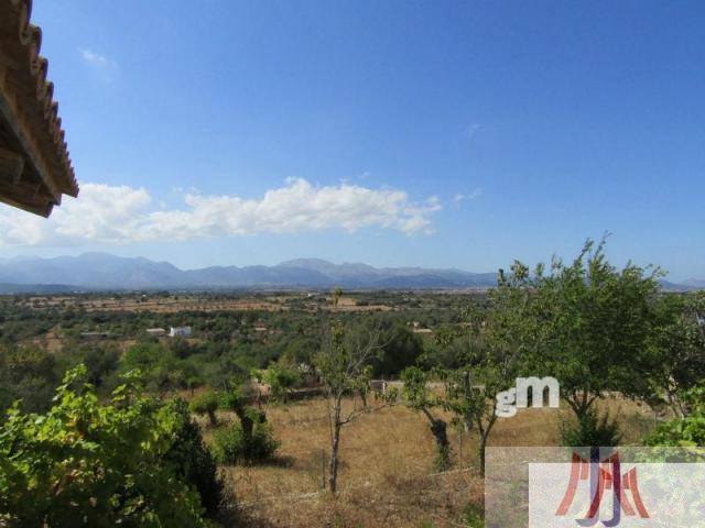 Venda de finca rústica a Palma de Mallorca