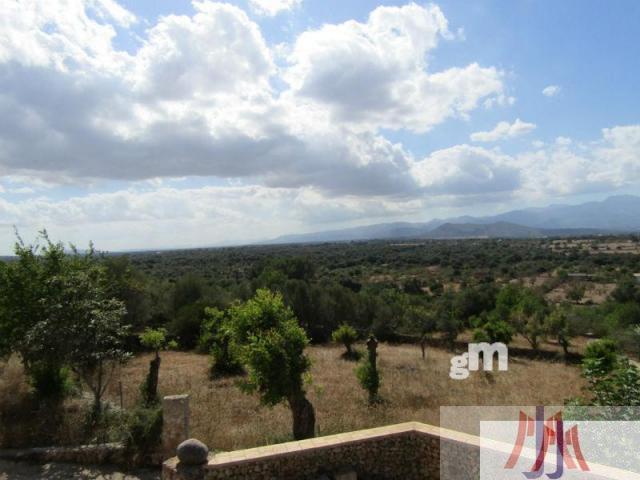 For sale of rural property in Palma de Mallorca