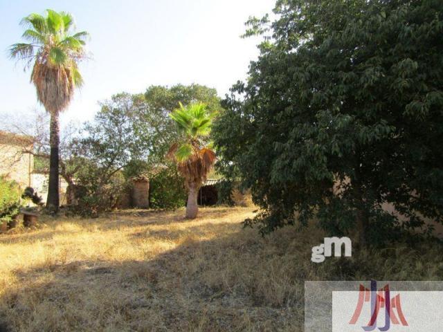 For sale of land in Palma de Mallorca