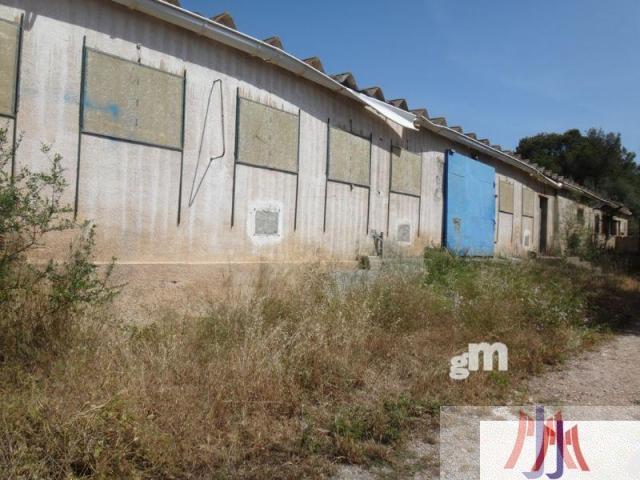 Venta de terreno en Palma de Mallorca