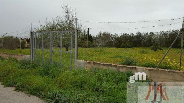 For sale of land in Palma de Mallorca