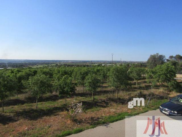 For sale of rural property in Palma de Mallorca