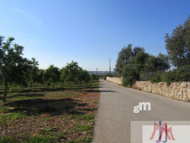 Venda de finca rústica a Palma de Mallorca