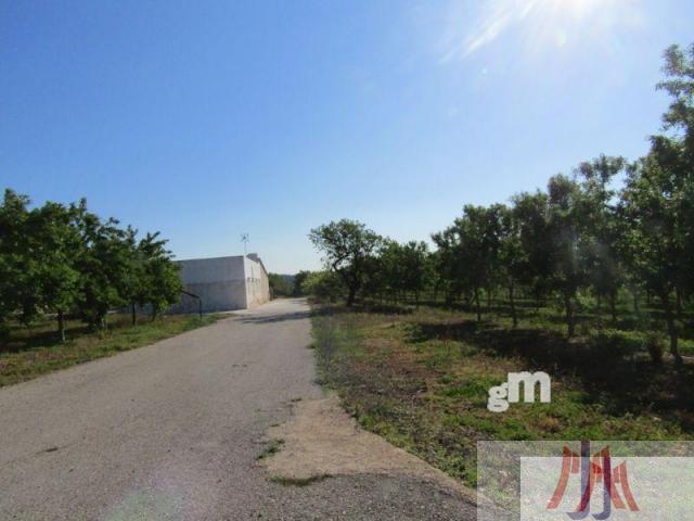 Venda de finca rústica a Palma de Mallorca