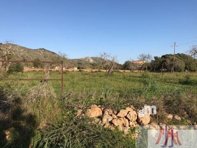 For sale of land in Palma de Mallorca