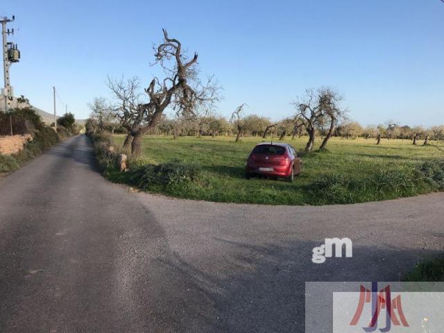 For sale of land in Palma de Mallorca