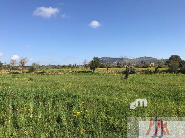 For sale of land in Palma de Mallorca